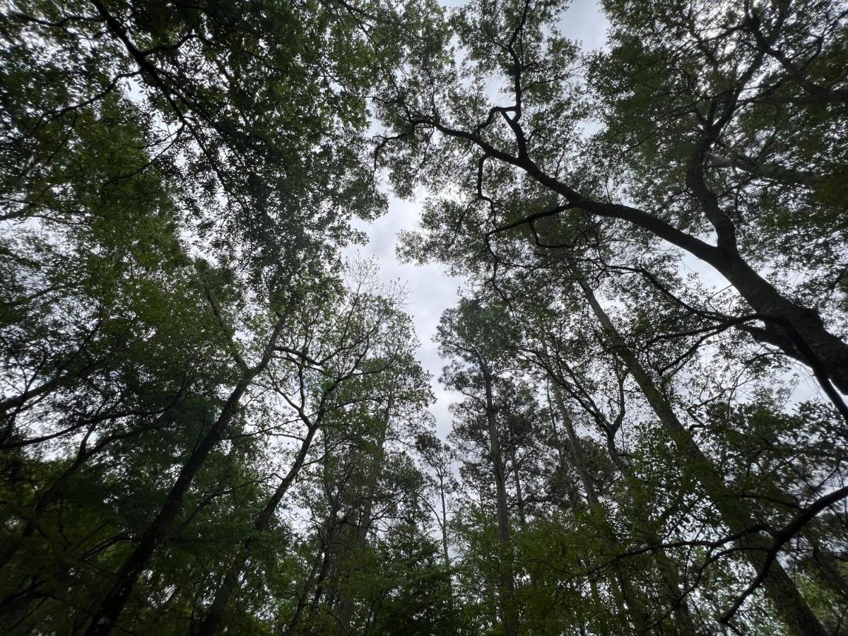 2 Bdrm Treehouse Hideout- Lake Conroe With Boat Ramp มอนต์โกเมอรี ภายนอก รูปภาพ