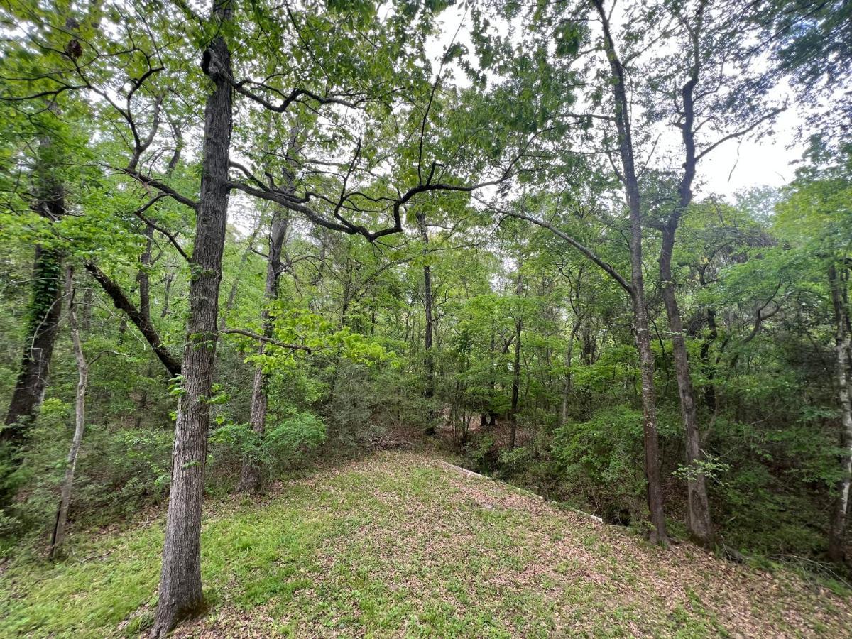 2 Bdrm Treehouse Hideout- Lake Conroe With Boat Ramp มอนต์โกเมอรี ภายนอก รูปภาพ